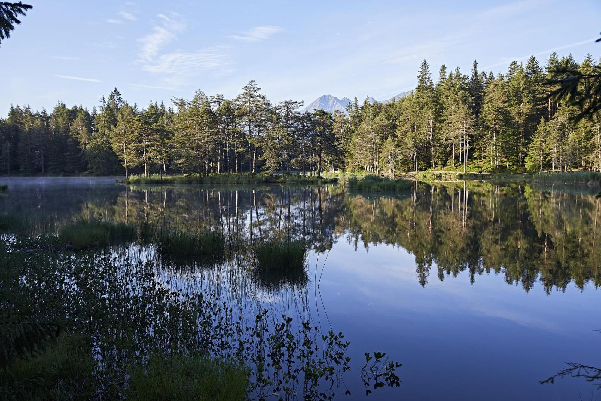 Appartements Landhaus Waidmannsheil Seefeld w Tirolu Zewnętrze zdjęcie